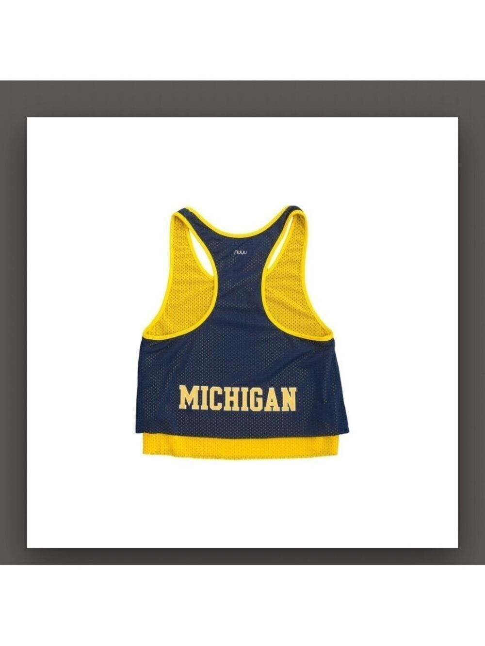 University of Michigan Tank Double Layer Mesh